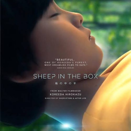 Sheep in the Box